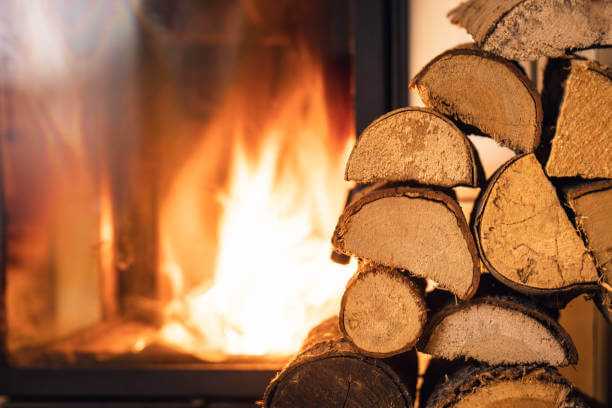{"value":{"src":"https://file-manager-bucket-production-234547735252.s3.eu-west-2.amazonaws.com/5l6n7x08ma50jotm_KB_FW_Understanding-wood-density-3.jpg","alt":"","title":"KB_FW_Understanding-wood-density-3.jpg","fileId":"01JT5A6P5F32M0TMDBMPKAT5CM"}}