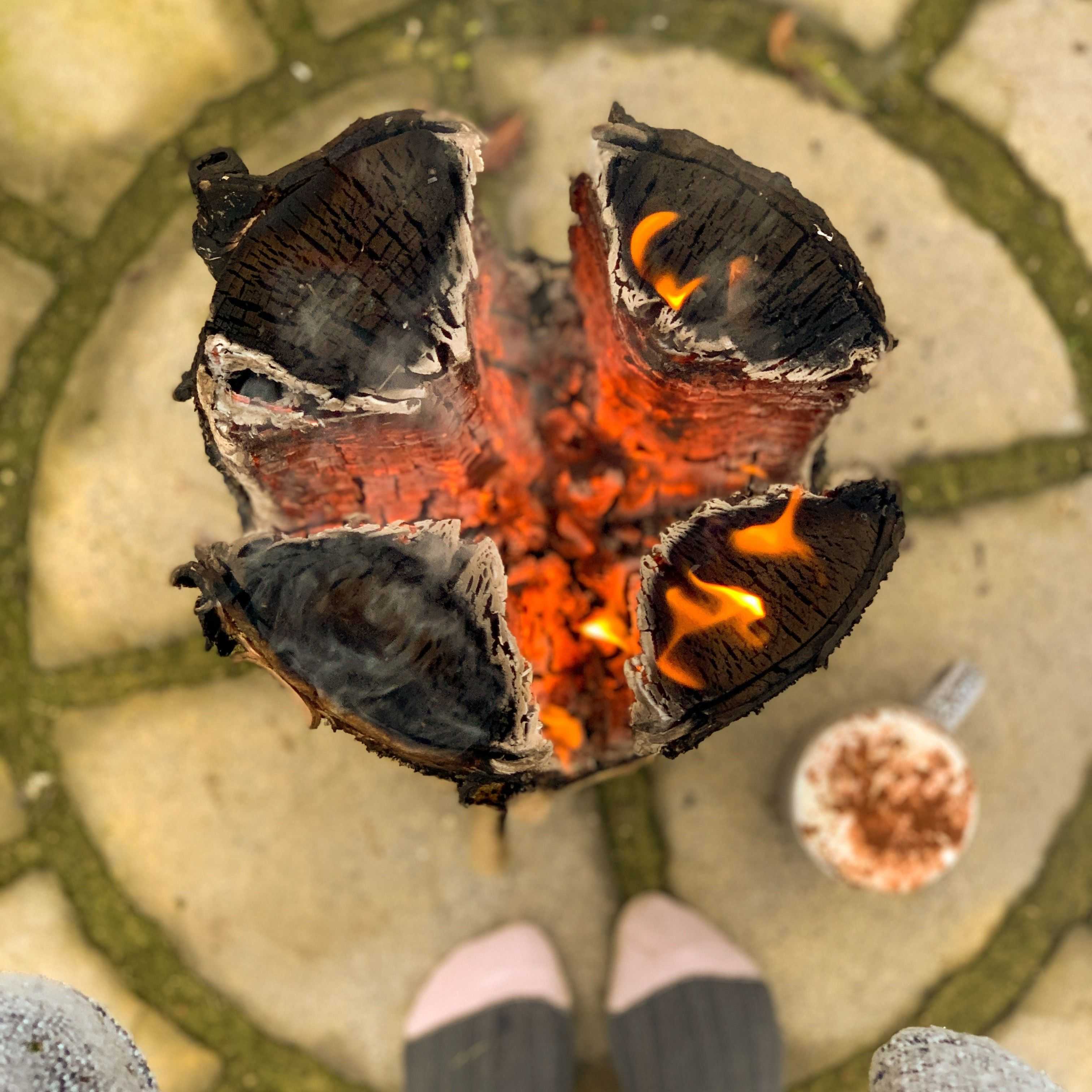 Using a Swedish Torch for Cooking: The Ecoblaze Guide