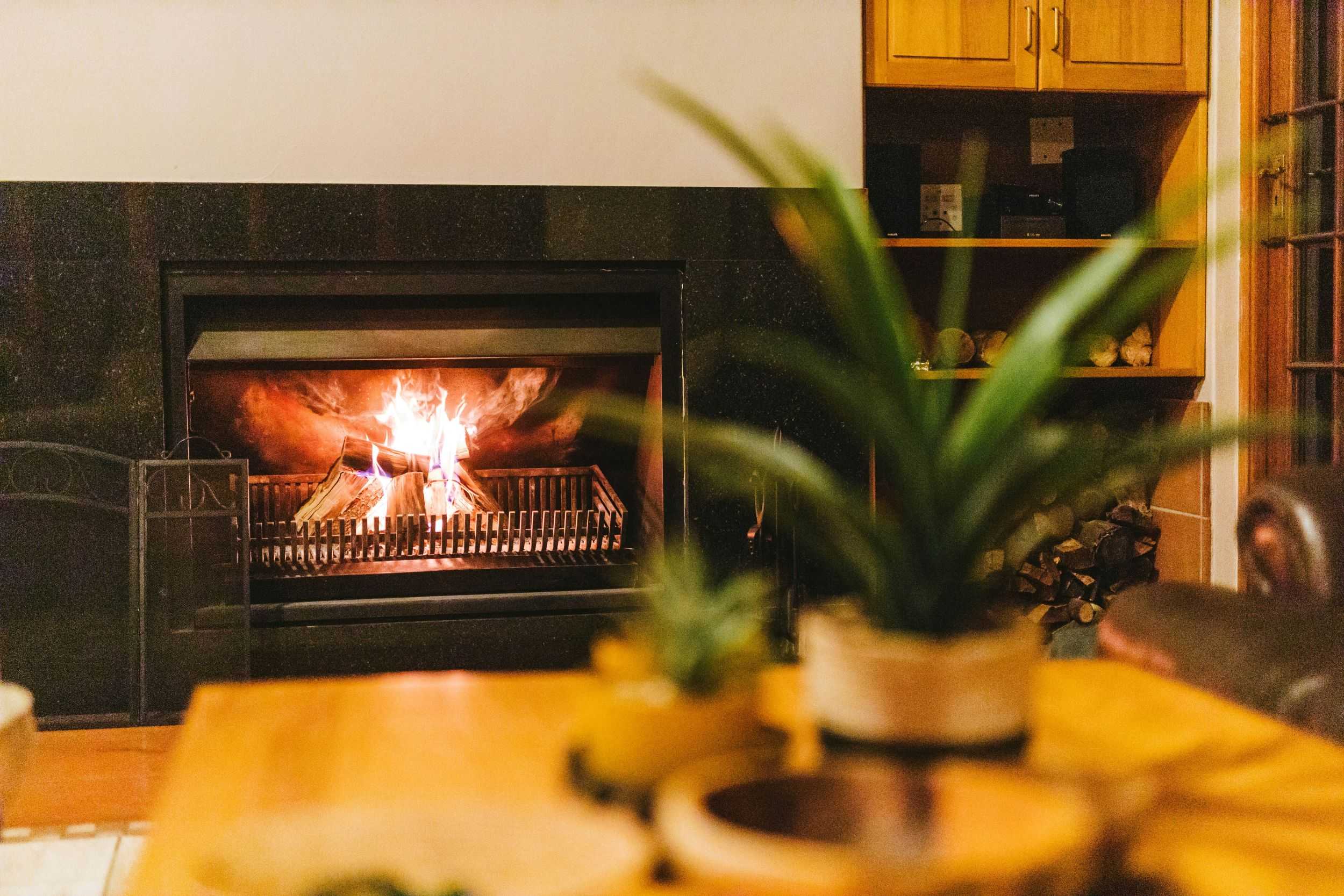 Top 5 Wood Burning Myths | Burn Cleaner with Ecoblaze Kiln Dried Logs