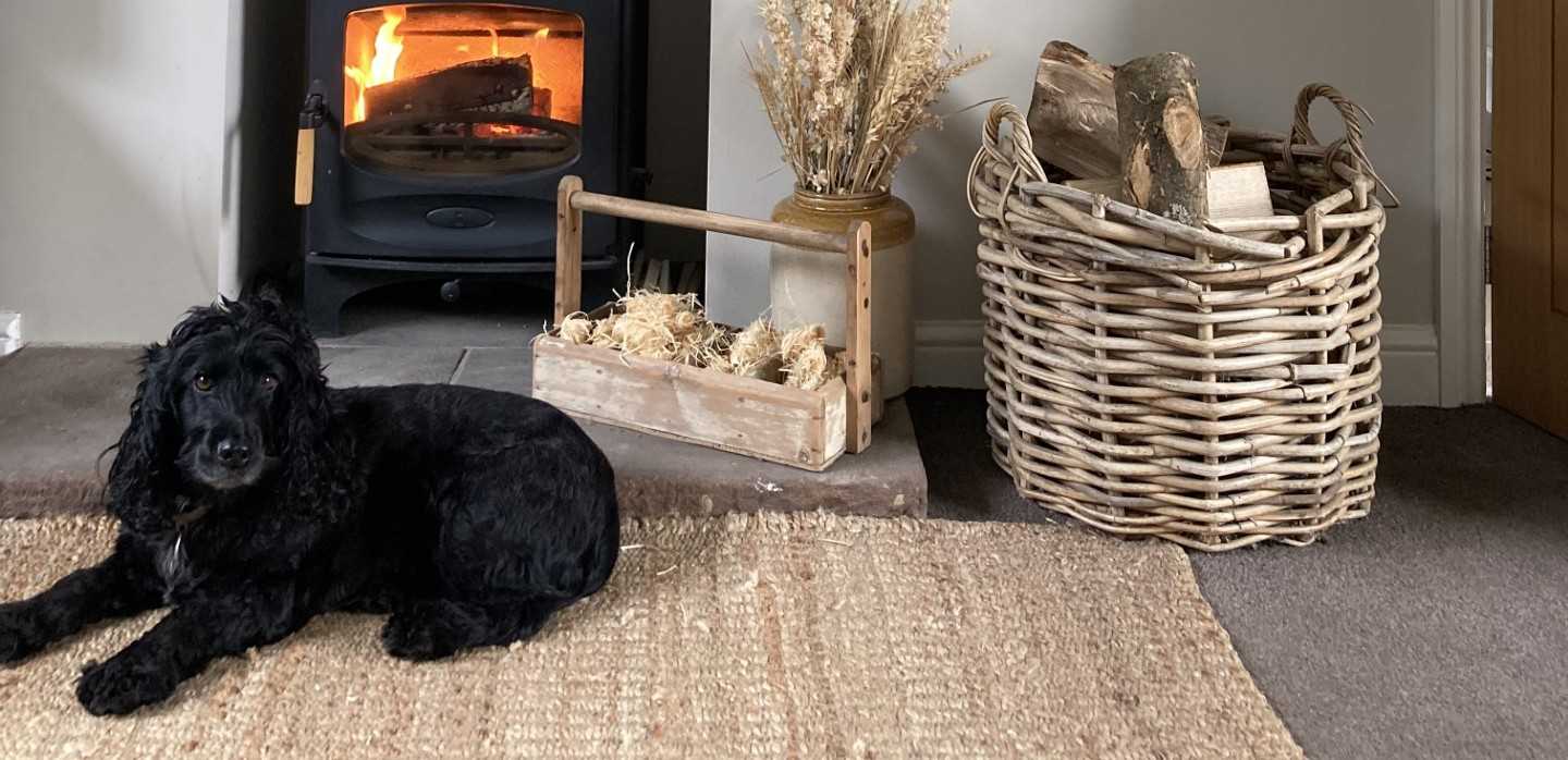 Pet-Proofing Your Fireplace: Keep Your Pets Safe and Warm with Ecoblaze