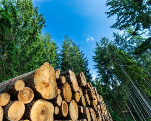 {"value":{"src":"https://file-manager-bucket-production-234547735252.s3.eu-west-2.amazonaws.com/4alnb2mhenytik_KB_FW_Wood Burning Myths 3.jpg","alt":"","title":"KB_FW_Wood Burning Myths 3.jpg","fileId":"01K8WT9JSXVADX3PF5KKEMJWVG"}}